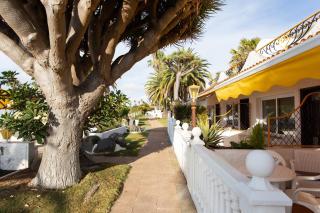 New Studio and Swimming Pool - Tacoronte - 6
