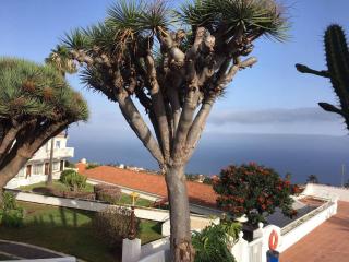 New Studio and Swimming Pool - Tacoronte - 2