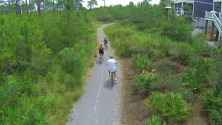 DRIFTWOOD COTTAGE at Seacrest Beach - 1581803 - Panama City Beach - 6