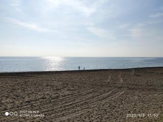 Adelfas Mar - Benajarafe - 0