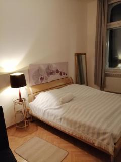 Wohnung im historischen Altbau von 1899 - Zittau - 3