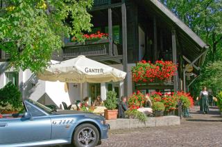 Hotel Hirschen - Glottertal - 4