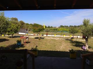 Farma Giannis - Sarti - 7