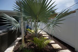 Heated pool ,3 bedroom bungalow ,minutes from the beach - Deerfield Beach - 9