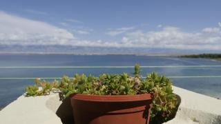 Apartmani Kod Barbe - 2