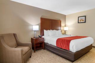 Comfort Inn & Suites Macon North I-75 - 6