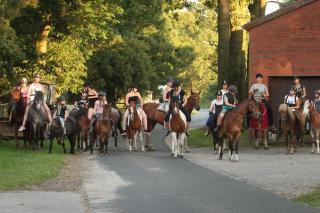 Ferien- und Reiterhof Klein Stavern - Stavern - 1