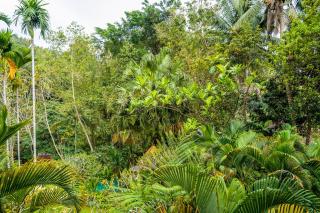 Villa Beji Indah - 2
