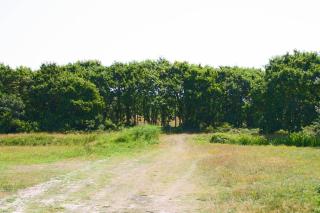 Callant's Lodges - 1