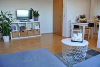 Rheinau Apartment - Memprechtshofen - 8