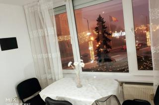 Ultracentral Cathedral Apartament Timisoara - Timişoara - 7