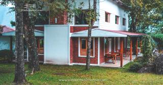 Windermere Estate - Munnar - 1