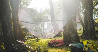 Windermere Estate - Munnar - 2
