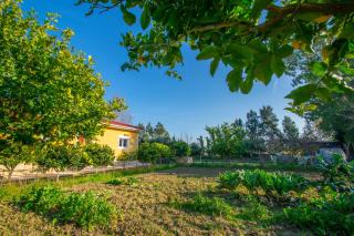 Loukas Farm House - Ayios Kirikos - 6