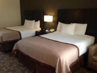 Best Western Rochester Hotel Mayo Clinic Area/ St. Mary's - Rochester - 4