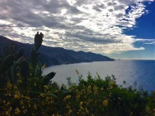 Albergo Suisse Bellevue - Monterosso al Mare - 1