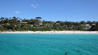 BAY OF FIRES BEACH SHACK ocean views from a modern Beachhouse - Binalong Bay - 4
