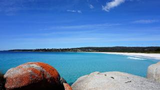 BAY OF FIRES BEACH SHACK ocean views from a modern Beachhouse - Binalong Bay - 7