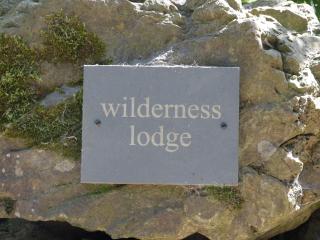Wilderness Lodge - 8