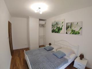 Cienista Myślibórz AN - 7