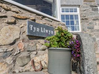 Tyn Llwyn - Gwyddelwern - 7