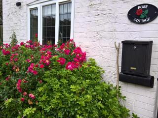 Rose Cottage - Chard - 7