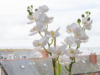The Moorings - Conwy - 1