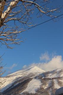 Niseko OAC Lodge - 7