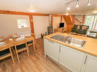 Kingfisher - Whitland - 1