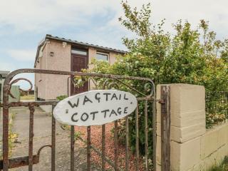 Wagtail Cottage - Mainsriddle - 9