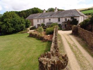 Oak Tree - Halwell - 0
