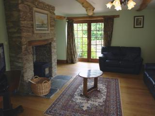 Oak Tree - Halwell - 8