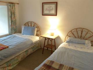 Tom - Bodmin - 3