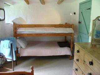 Harry - Bodmin - 1