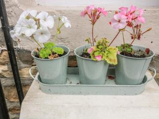 Daisy's Holiday Cottage - 6