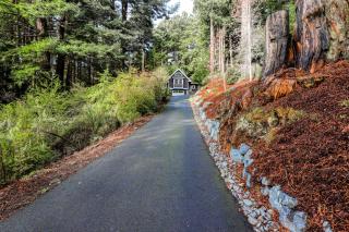 Serene Redwood Retreat - Arcata - 7