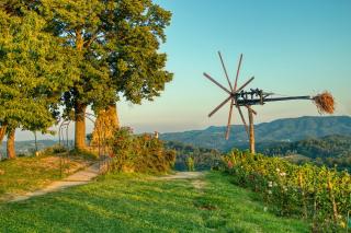 Turistična kmetija Dreisiebner - 1