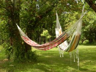 les tamaris - Castelnau-sur-Gupie - 1
