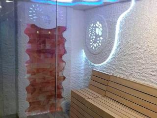 TeonaLux Milmari Resort P84 - Kopaonik - 2