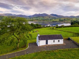 Lough Island Reavy Cottage - Newry - 9