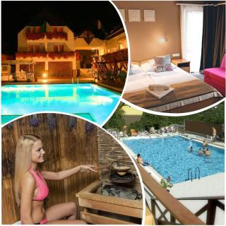 ALFA Hotel & Wellness Miskolctapolca - Miskolctapolca - 9