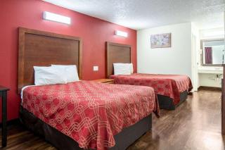 Econo Lodge Knoxville - Knoxville - 2