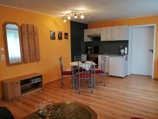 Ferienwohnung Am Apelsberg - Neuhaus am Rennweg - 1