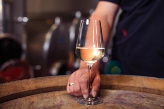 Winzerhof Supperer - Rossatz - 5