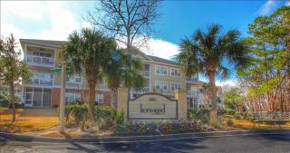 122 Ironwood Home - Myrtle Beach - 9