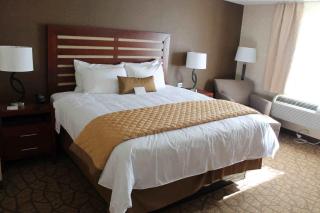 Wyndham Garden Grand Rapids Airport - Grand Rapids - 6