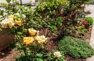 Apartment Marelja - private parking and balcony - Zadar - 5