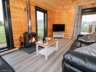 Bryn Eiddon Log Cabin - 1