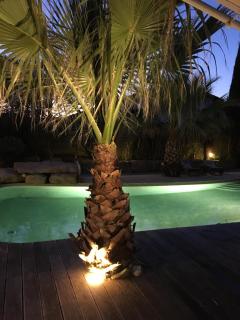 T2 entre mer et montagne - 5