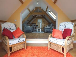Pond Cottage - New Quay - 2
